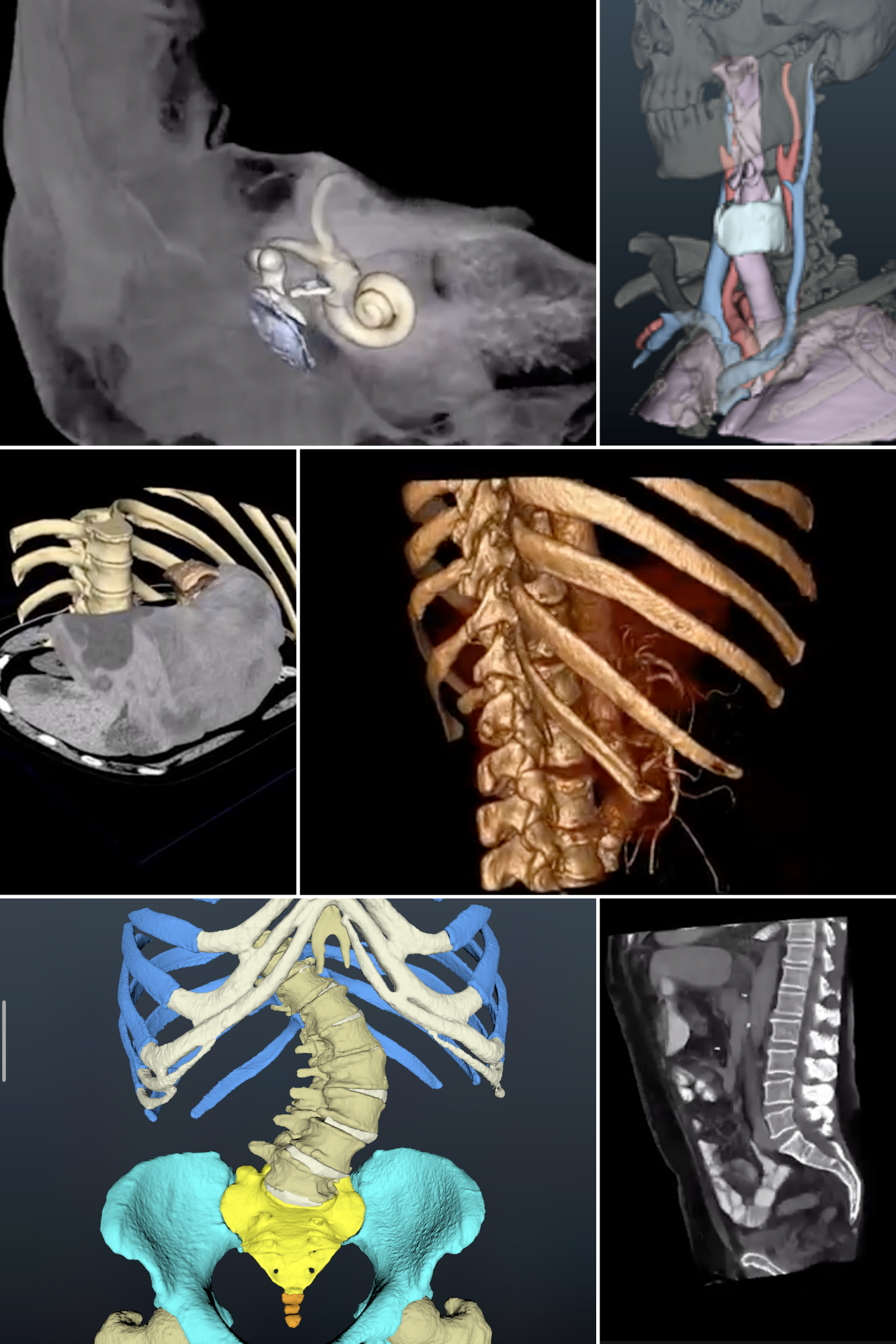 Lars Dornheim & Team Collage